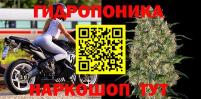 бошки Малгобек