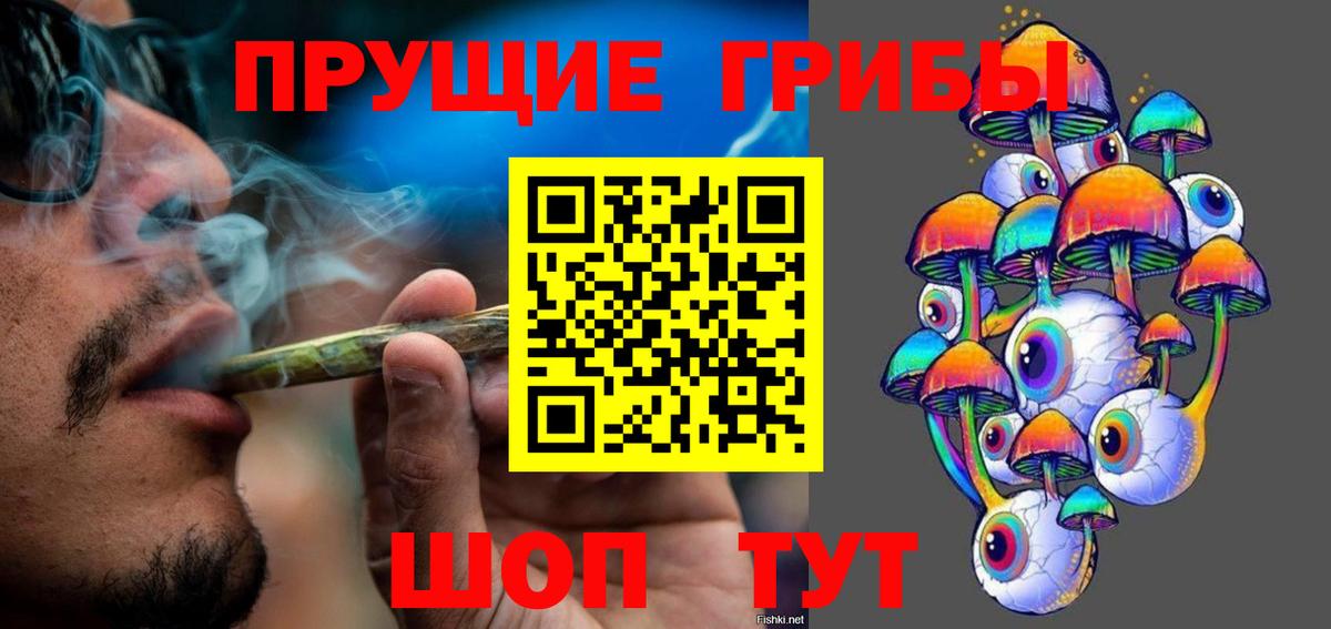 Псилоцибиновые грибы Psilocybe  Вход с VPN  Вичуга 